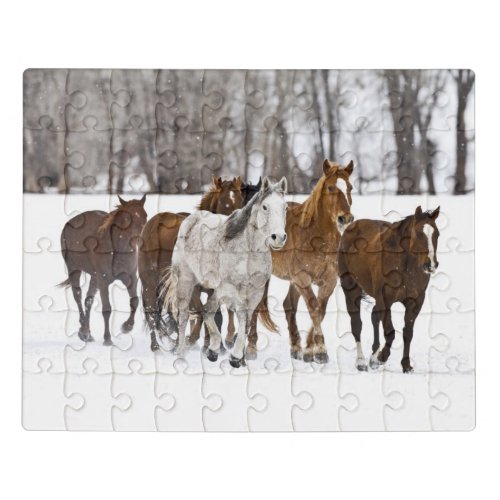 A Winter Scenic of Running Horses Jigsaw Puzzle