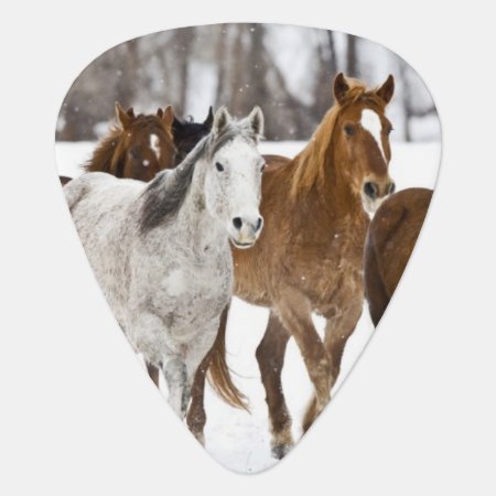 A Winter Scenic Of Running Horses On The 2 Guitar Pick