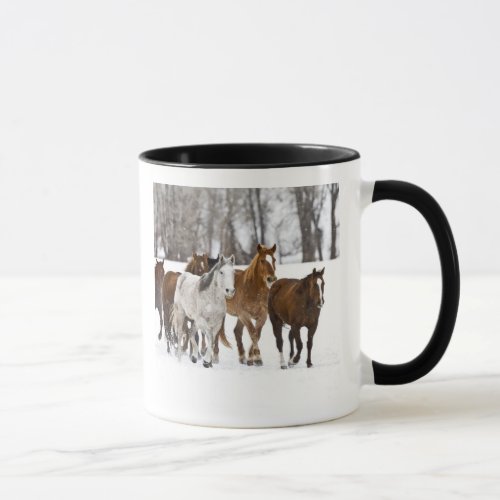 A winter scenic of running horses on The 2 Mug