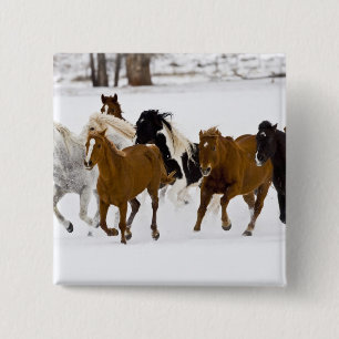 A winter scenic of running horses pinback button