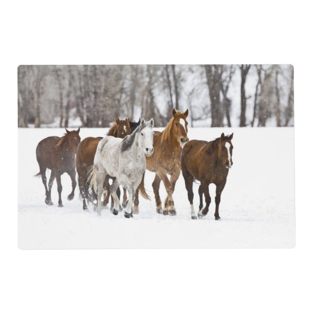 A Winter Scenic of Running Horses Placemat (Front)