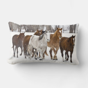 A winter scenic of running lumbar pillow