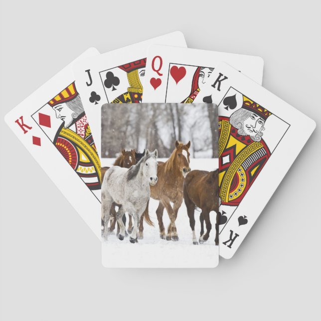 A winter scenic of running poker cards (Back)