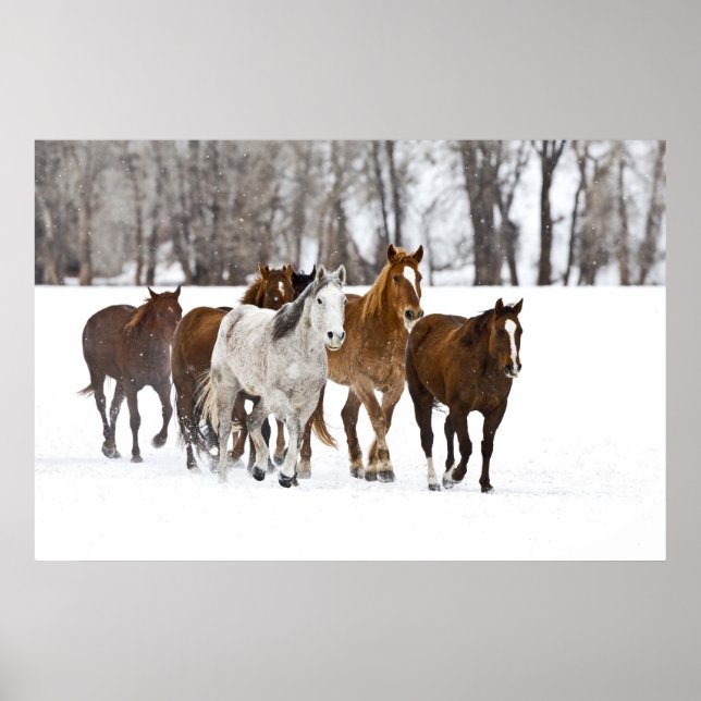 A winter scenic of running poster (Front)