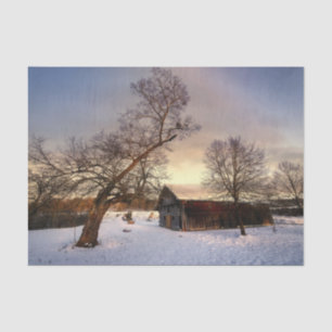 A Winter Tree Protecting a Tired Barn Tissue Paper