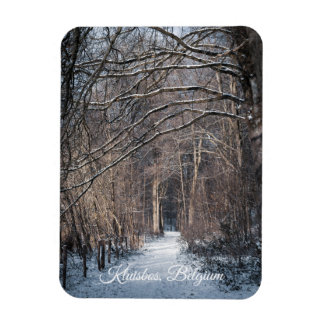 A Winters Day in Kluisbos Belgium Magnet