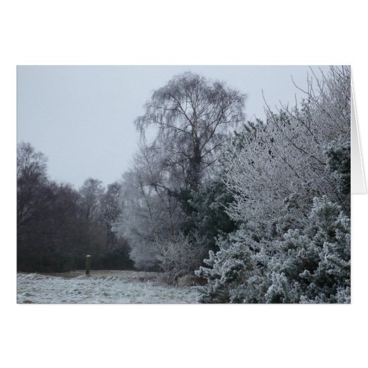 A wintry scene in Ashdown Forest Cards (Front Horizontal)