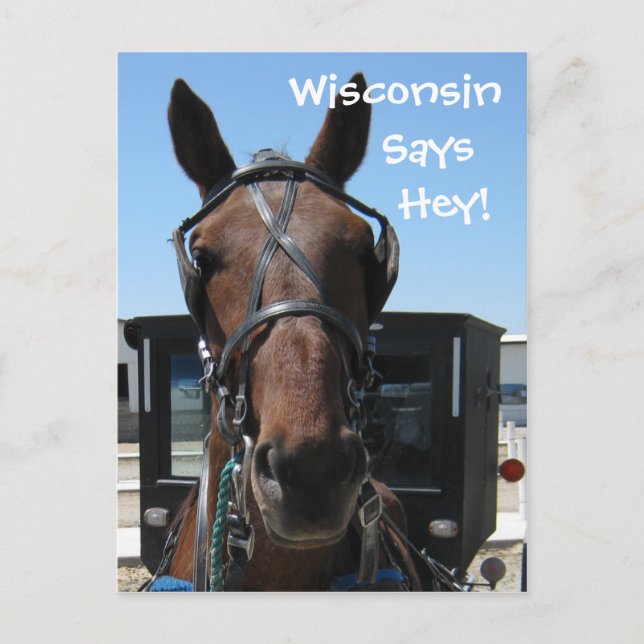 A Wisconsin Hey! Postcard (Front)