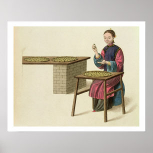 A Woman Preparing Tea, plate 21 from 'The Costume Poster