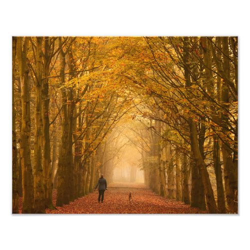 A woman walking with dog on a fall morning photo