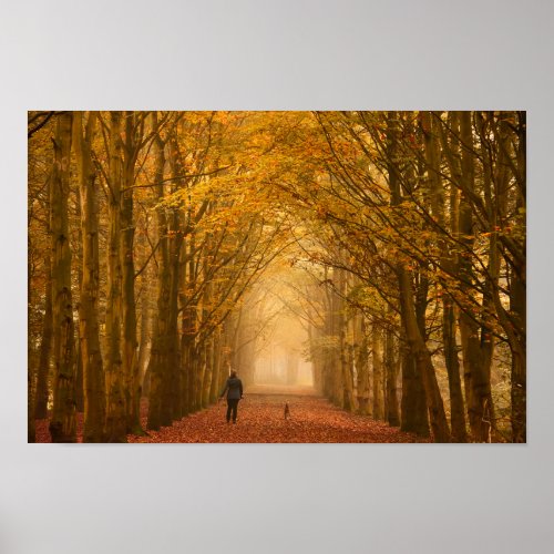 A woman walking with dog on a fall morning poster