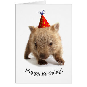 A wombat happy birthday cards