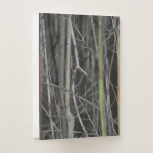 A Wooded Escape Pocket Folder