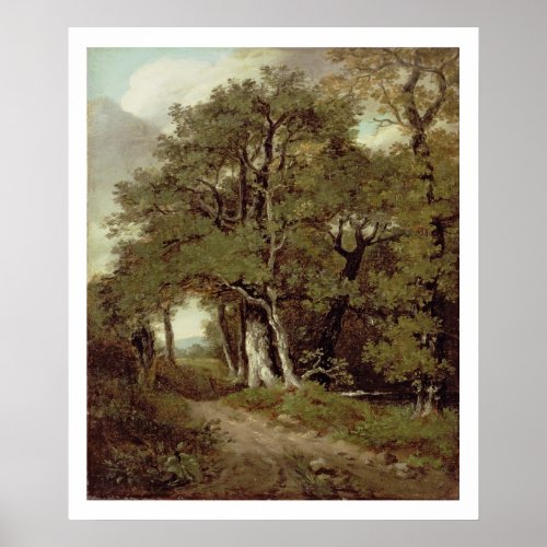A Wooded Path Poster