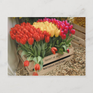 A wooden crate with tulips postcard
