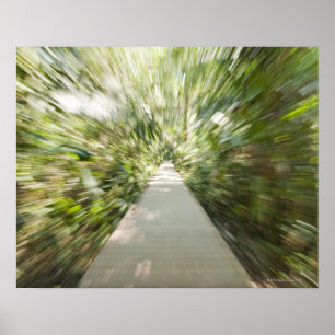 A wooden path through the rainforest in warped poster