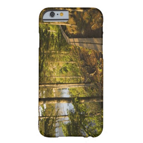 A wooden walkway in Acadia National Park Maine Barely There iPhone 6 Case