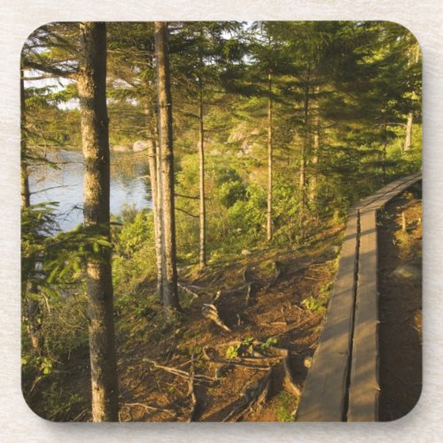 A wooden walkway in Acadia National Park Maine Coaster