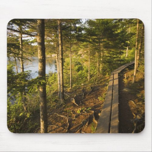 A wooden walkway in Acadia National Park Maine Mouse Pad