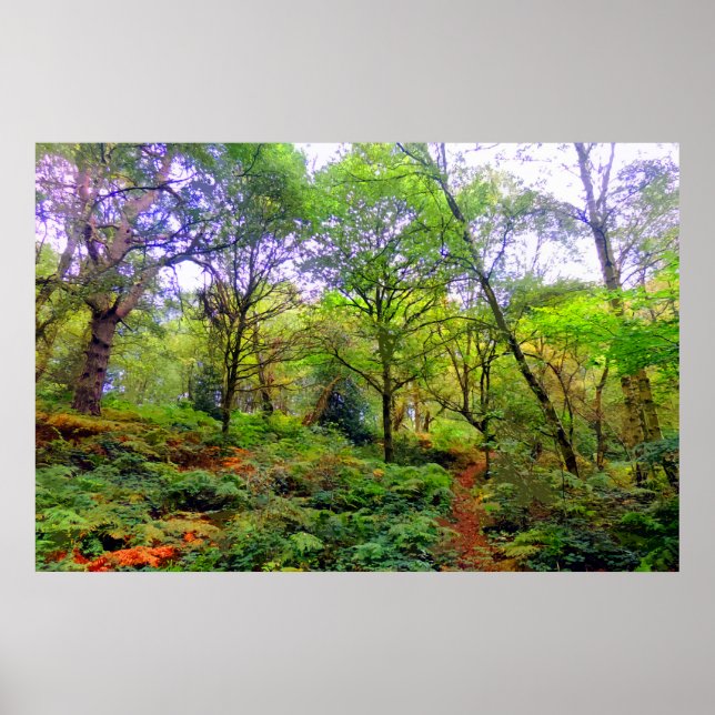A WOODLAND WALK POSTER (Front)