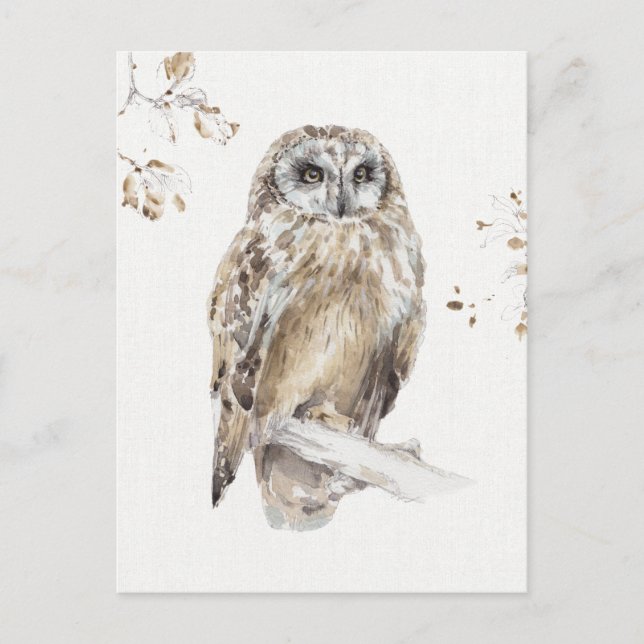 A Woodland Walk VIII Postcard (Front)