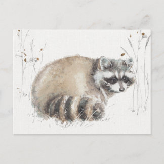 A Woodland Walk X Postcard