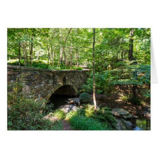 A Woodlands Walkway Bridge (Front Horizontal)