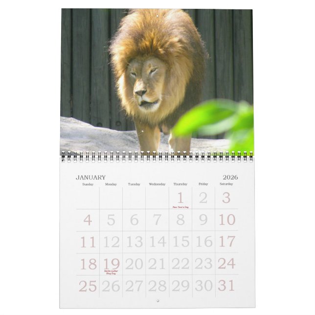 A WORLD OF ANIMALS calendar (Jan 2026)