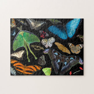 A World of Butterflies and Moths. Jigsaw Puzzle