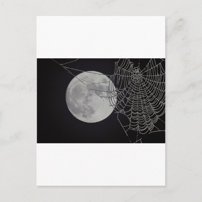 A world Wide Web Postcard (Front)