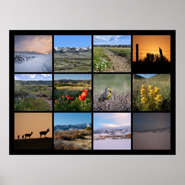 A Year at the Foot of Casper Mountain 2024 Poster (Front)