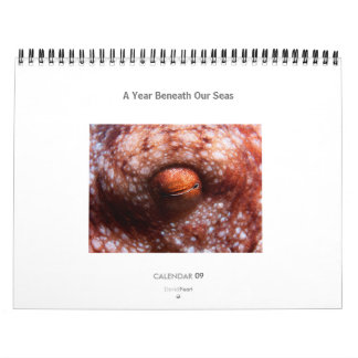A Year Beneath Our Seas - Calendar 2009