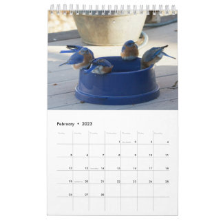 A Year Full of Bluebirds Calendar