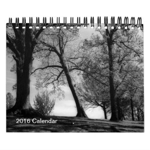 A year in Black and white photography Calendar