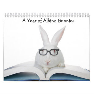 A Year of Albino Bunnies Calendar