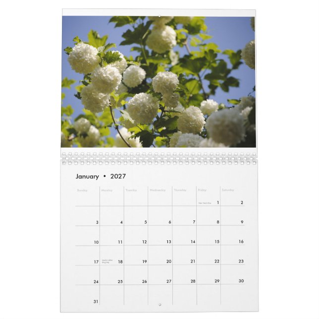 a year of flowers calendar (Jan 2027)