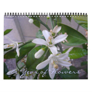 A Year of Flowers Calendar