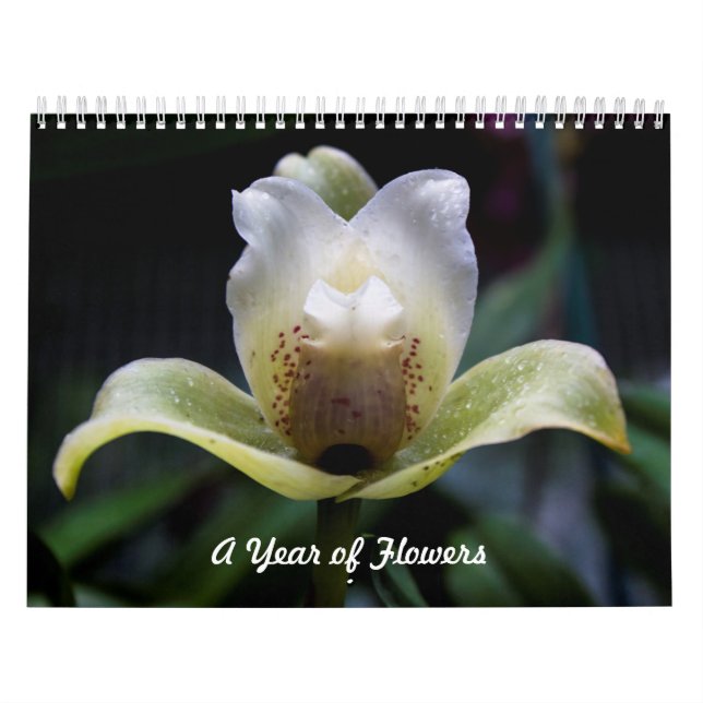 A Year of Flowers Calender Calendar (Cover)