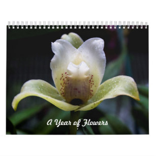 A Year of Flowers Calender Calendar