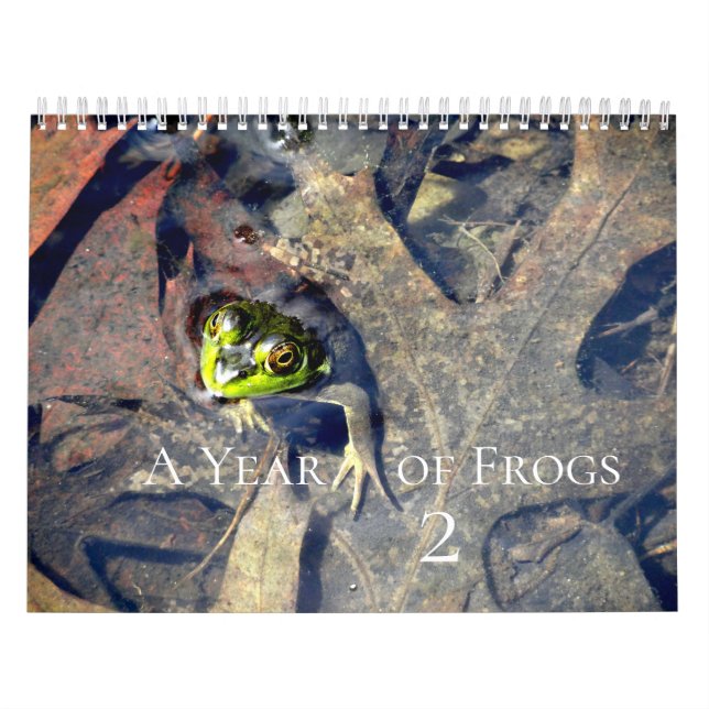 A Year of Frogs 2 Calendar (Cover)