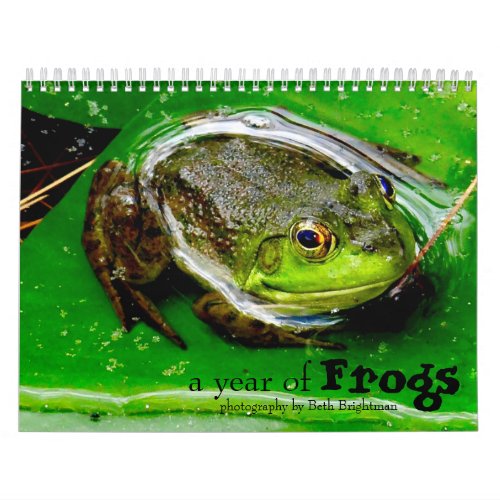 A Year of Frogs Calendar
