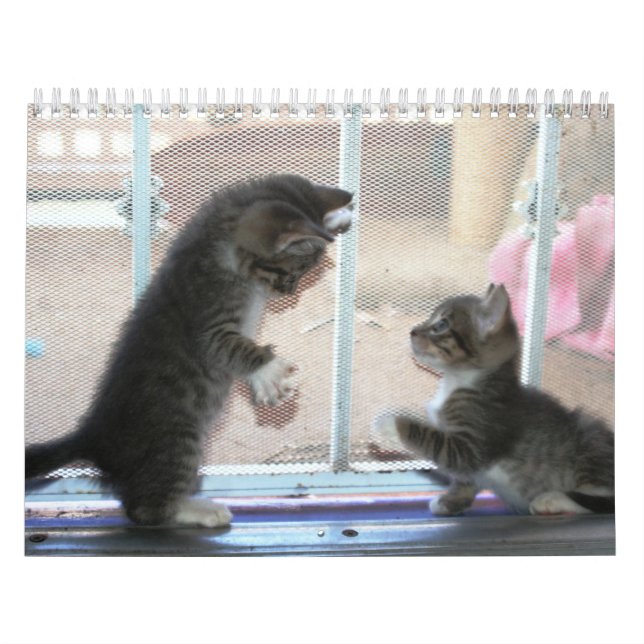 A year of fuzzybutts calendar (Cover)