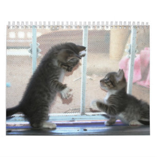 A year of fuzzybutts calendar