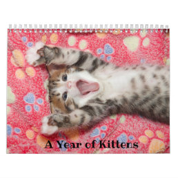 A Year of Kittens Calendar