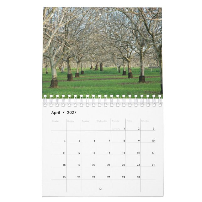 A Year of Life Calender 2007 Calendar | Zazzle