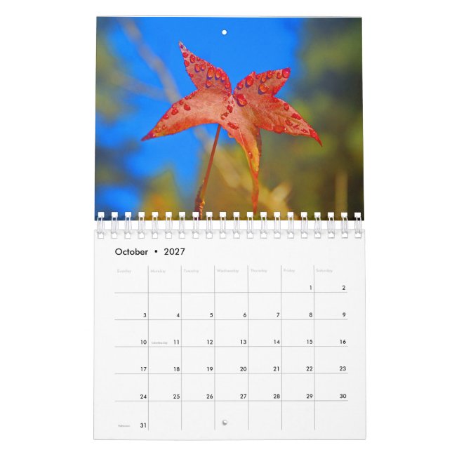 A Year of Life Calender 2007 Calendar | Zazzle