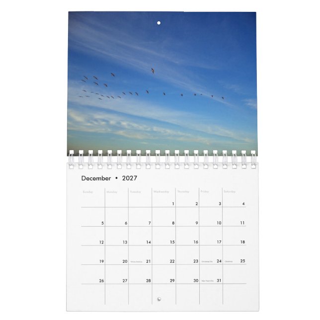 A Year of Life Calender 2007 Calendar | Zazzle