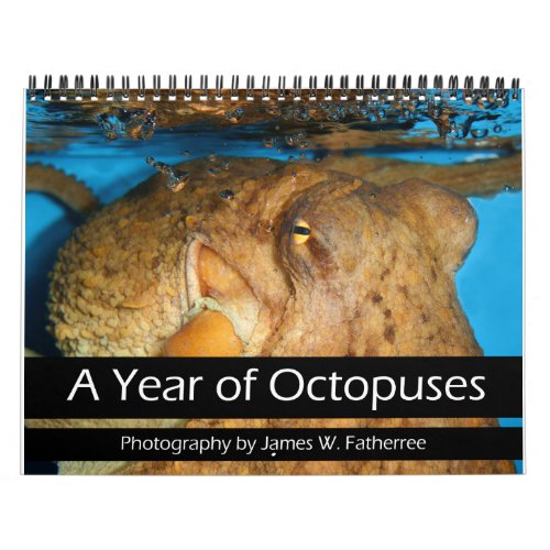 A Year of Octopuses Calendar