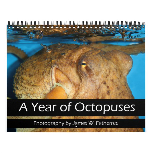 A Year of Octopuses Calendar (Cover)