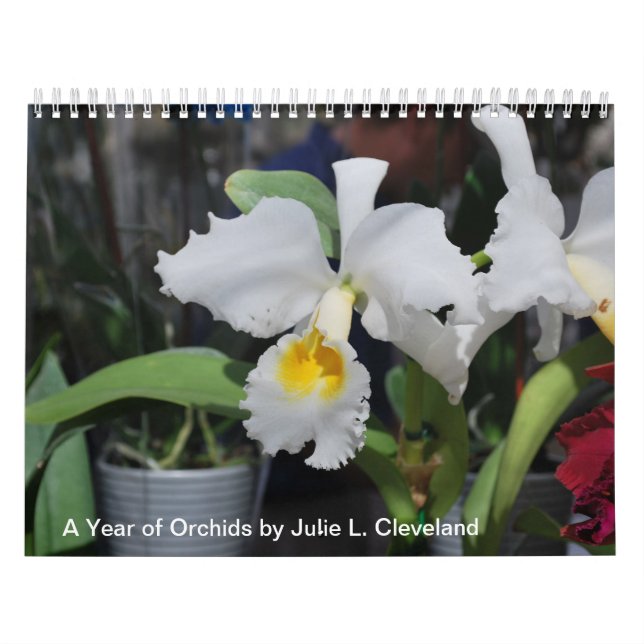 A Year of Orchids Flower Orchid Calendar Photos (Cover)